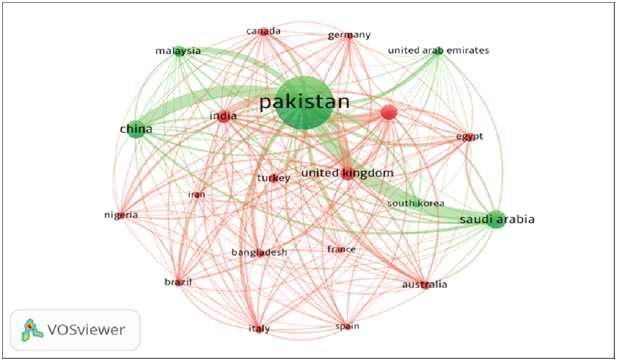 Co-authorship maps of 20 foreign Countries participating in Pakistan’s COVID-19 research.